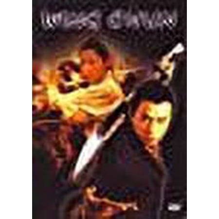 Wing Chun movie DVD Michelle Yeoh Donnie Yen kung fu martial arts action 2003
