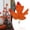 A_A, variant on Fall Leaves, Fake Fall Leaves Autumn Maple Leafs, Fall Leaves for Crafts, Artificial Faux Fall Foliage,Fall Party Table Wedding Decor, Fall and Thanksgiving Decorations