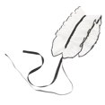 thumbnail image 1 of unbranded Collar Femenino Desmontable De Con Plisado Para Uso Y Protección, 1 of 6