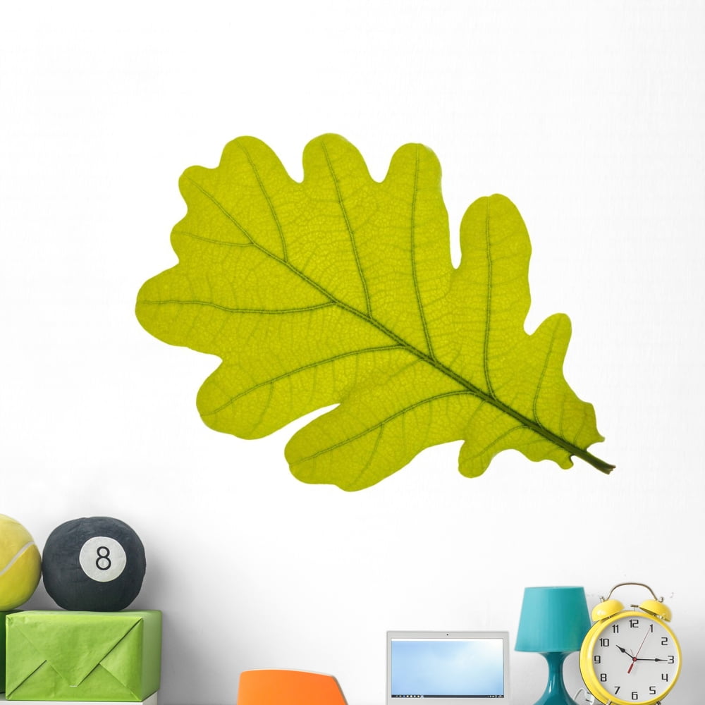 Oak Oak Leaf Tree Wall Decal by Wallmonkeys Peel and Stick Graphic (48