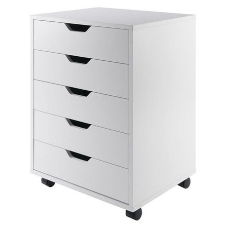 Bowery Hill 5-Drawer Transitional Wood Storage Cabinet in White