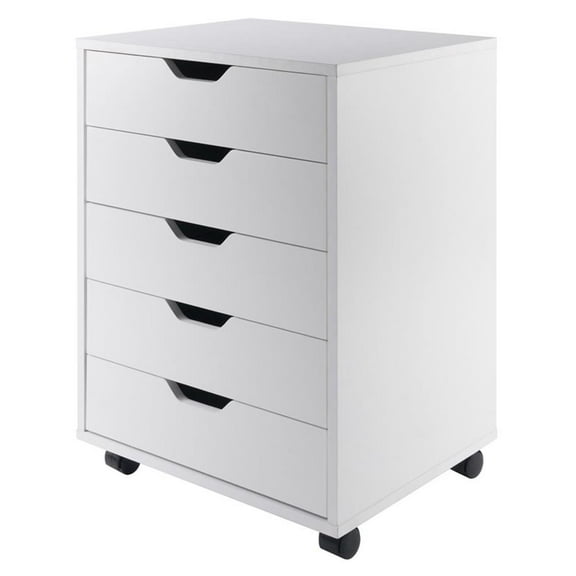 Bowery Hill 5-Drawer Transitional Wood Storage Cabinet in White