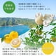thumbnail image 5 of Crema de manos Daily Aroma Japan YUZU Premium Scent 30 ml, 5 of 8