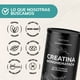 thumbnail image 4 of Creatina Monohidratada Micronizada en Polvo Quotidien | Alta Pureza Certificada | Con Scoop Dosificador - Creatine Monohydrate Pre Entreno - Platinum - Creatina Mujer / Hombre - Gym - 450g, 4 of 8