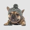 thumbnail image 2 of Pet Supplies Pet Hat And Winter Wool Ball Warm Windproof Pompon Ball Knitting Dog Fighting Hat New Pet-M, 2 of 3