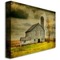 thumbnail image 2 of Trademark Fine Art "Old Barn on Stormy Afternoon" Canvas Wall Art by Lois Bryan, 30x47, 2 of 2
