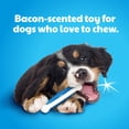 thumbnail image 4 of Hartz Chew n Clean Tuff Bone Dog Toy, Small, Color May Vary, 4 of 11