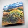thumbnail image 4 of Epic Art 'Chamisa II' by Tim O'Toole, Acrylic Glass Wall Art, 12"x12", 4 of 7