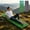 Green, variant on MYUNNIL Folding Foam Camping Pad, 1 Piece Closed Cell Waterproof Egg Crate Sleeping Mattress, Lightweight Insulation Comfort Portable Sleeping Mat for Hiking Camping and Backpacking, Black
