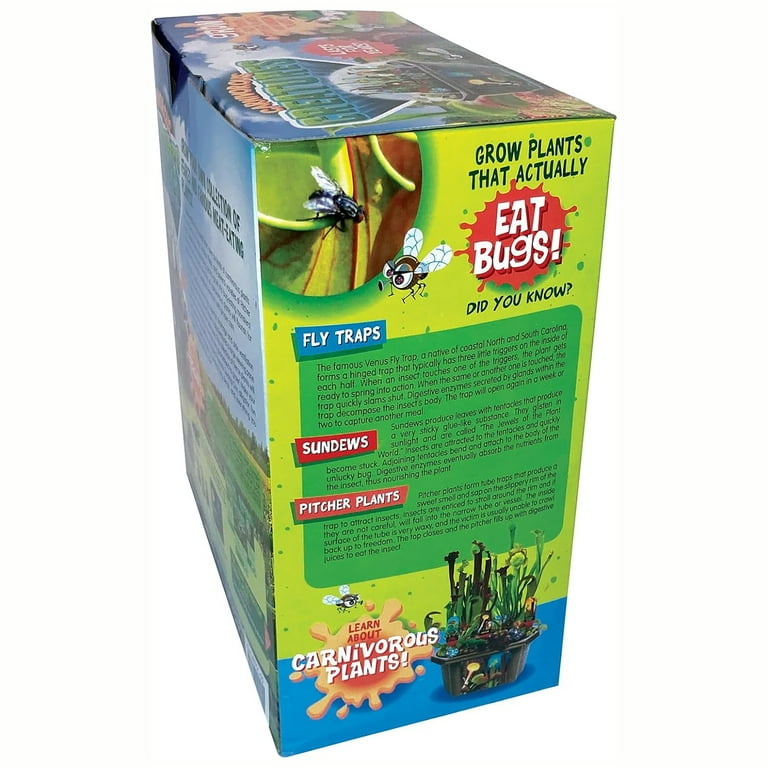 Toys By Nature: Carnivorous Creatures - DIY Biosphere Terrarium