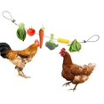 thumbnail image 1 of Support de Poulet Réutilisable en Corde d'Acier pour Mangeoire Jouet Oiseau, 1 of 8