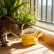 thumbnail image 4 of Elevated Cat Food Bowl Large Capacity Whisker Fatigue Relief Anti Vomit Slow Feeder Pet Dish for Indoor Cats with Stand and Mat, 4 of 6