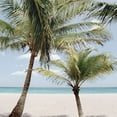 thumbnail image 2 of Carpentieri, Natalie 26x26 White Modern Wood Framed Museum Art Print Titled - Quiet Escape I, 2 of 4