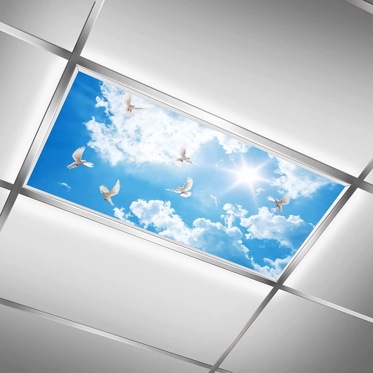 J.COXLod Fluorescent Light Covers, Ceiling Fixture for Classroom