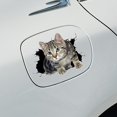 thumbnail image 3 of 4 piezas Autocollants Cratifs Pour Voiture 3d Chaton 18*13cm, Autocollants Pour La Dcoration De La Carrosserie, Autocollants Pour Cacher Les Rayures, 3 of 5