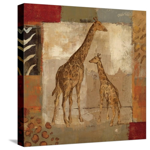Art.com Animals on Safari IV Stretched Canvas Print Wall Art by Silvia Vassileva, 16" x 16"