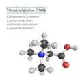 thumbnail image 4 of NutriCology TMG Trimethylglycine - Supports Cardiovascular & Liver Health - Delivers 750 mg Trimethylglycine per Serving - Vegetarian & Hypoallergenic - 100 Servings - 100 Capsules, 4 of 7