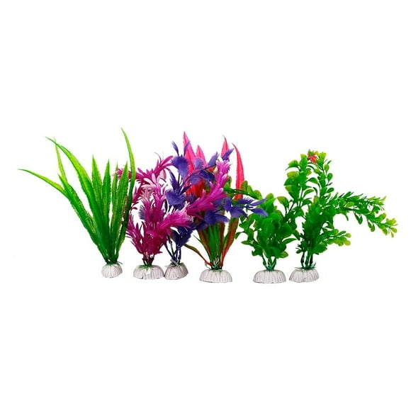 Plantas para Acuario Lomas 20 cm 6 Pzas