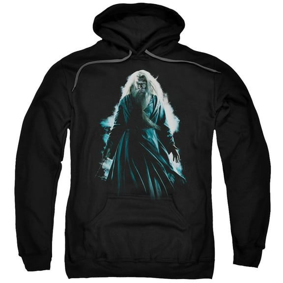 Trevco HP6007-AFTH-4 Harry Potter & Dumbledore Burst Adult Pull Over Hoodie, Black - Extra Large
