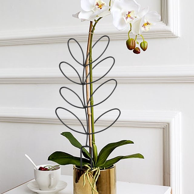 unbranded 2Ud Bastidor Trellis Metálico Negro Para Plantas Trepadoras En Interior Y Exterior