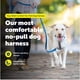 thumbnail image 2 of Arnés para perro PetSafe Easy Walk Comfort antitirones rosa talla S/M, 2 of 8