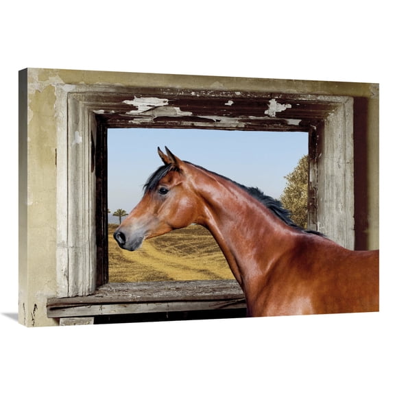 Global Gallery's 'Arab King' by Lauren Julian Stretched Canvas Wall Art