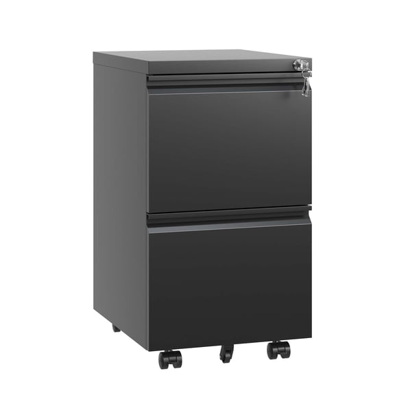Dtwnek 2 Drawer Metal Mobile File Cabinet with Wheels and Lock, Rolling File Cabinet for Letter/A4 Size, Black