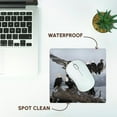 thumbnail image 7 of 3dRose, Bald Eagles gathering on a log, Homer, Alaska - NA02 DNO0199 - David Northcott, MousePad, 7 of 7
