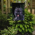 thumbnail image 2 of Carolines Treasures SS8494-FLAG-PARENT Starry Night Cairn Terrier Flag  multicolor, 2 of 2