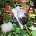 thumbnail image 2 of Dispositivo de enraizamiento de plantas KAIYANG reutilizable caja de bolas de propagación alta presión transparente, 2 of 5