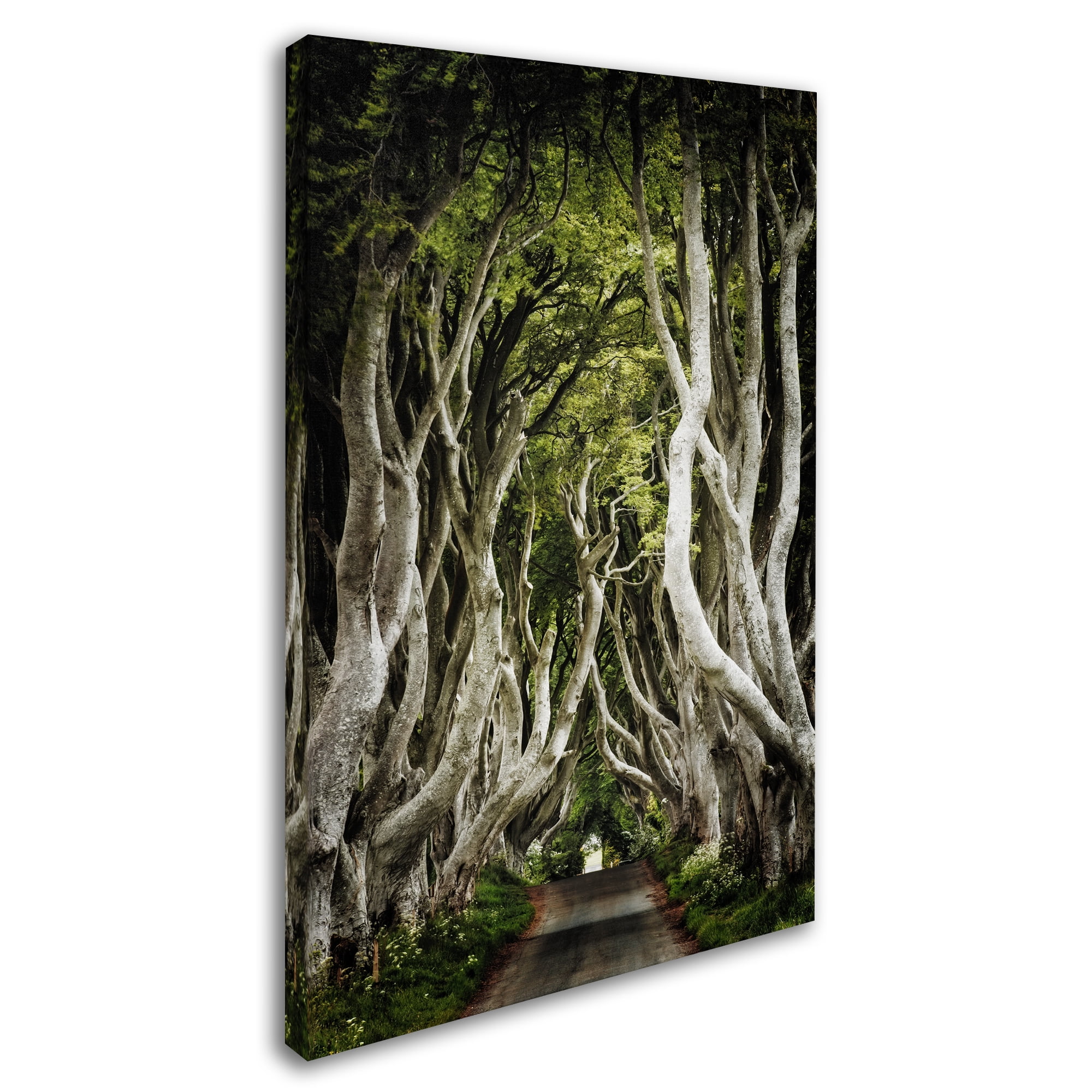 Trademark Fine Art "Romantic Avenue" Canvas Art by Philippe Sainte-Laudy