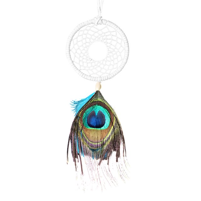 Wdftyju Atrapasueños Original, pelo de pavo real, arte colgante nacional, regalos, decoración de habitación para niñas Wdftyju 4aa8xx2qk8wm5kt3