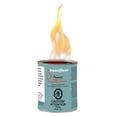 thumbnail image 4 of Paramount SMARTFLAME Fuel, 4 of 5