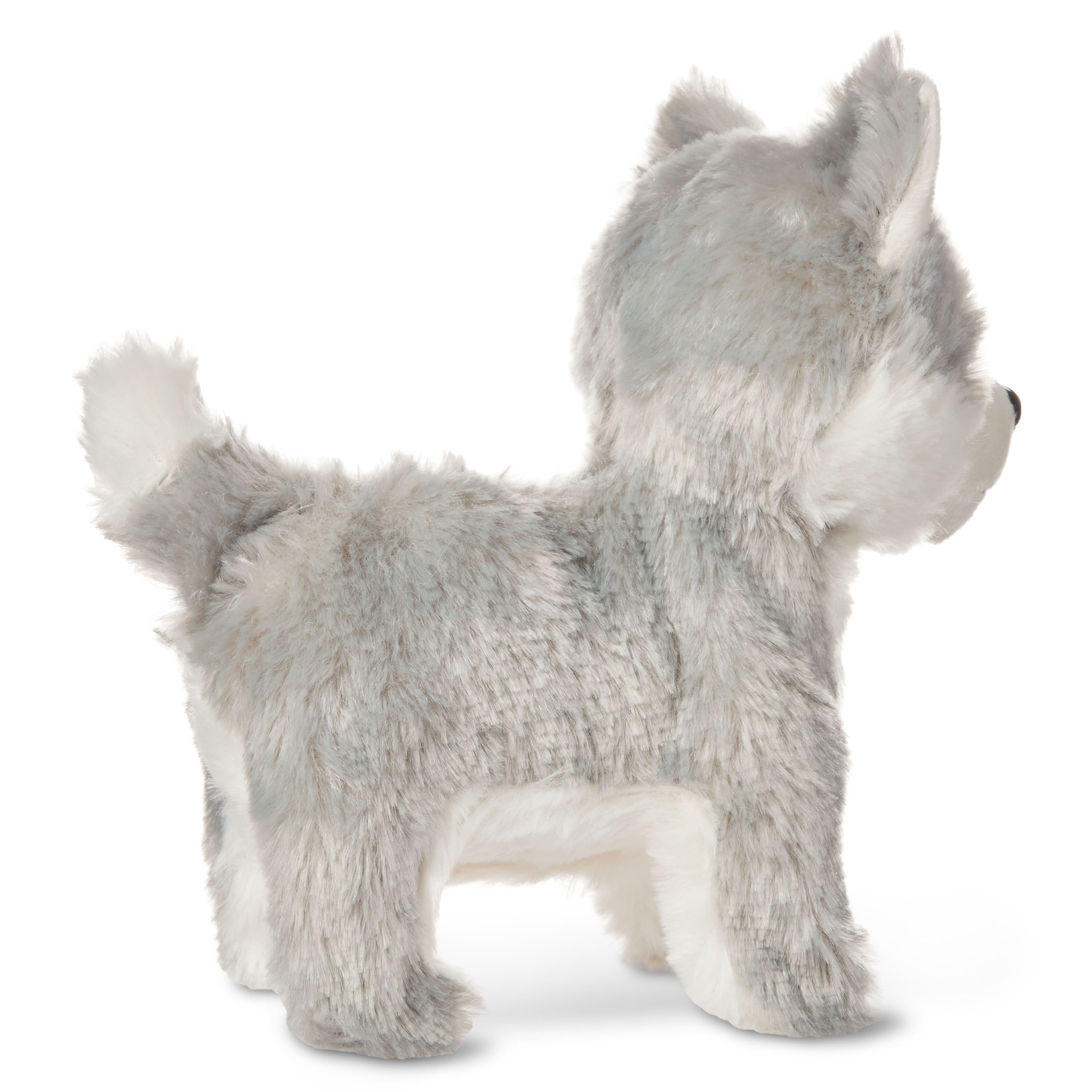 kid connection walking pet husky