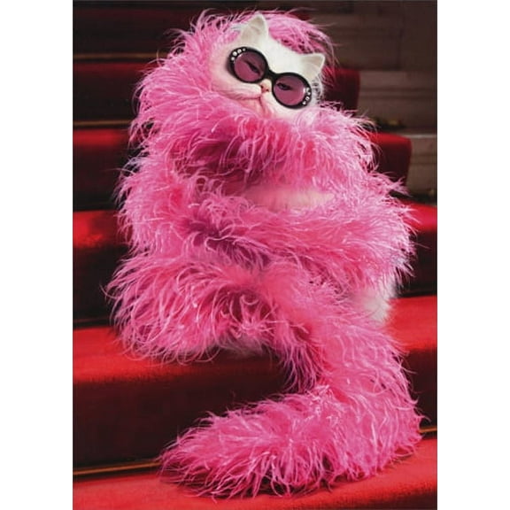 Avanti Press Cat Wrapped In Feather Boa Stand Out Pop Up Birthday Card