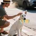 thumbnail image 3 of Chew Toys for Dogs - Robust Cuddly Dog Socks for Interactive and Chewing, 3 of 4