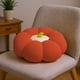 thumbnail image 1 of Cojín De Calabaza Cojín futón con forma de calabaza, almohada de suelo para Halloween, tatami, 45x15cm, suave y afelpado, respaldo decorativo, 1 unidad, rojo Rkxzt, 1 of 9