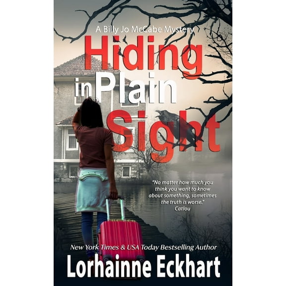 Billy Jo McCabe Mystery: Hiding in Plain Sight (Paperback)