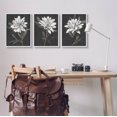 thumbnail image 2 of Stupell Industries Fable Lotus White Floral Bloom Graphic Art White Framed Art Print Wall Art, Set of 3, Design by Nina Blue, 2 of 7