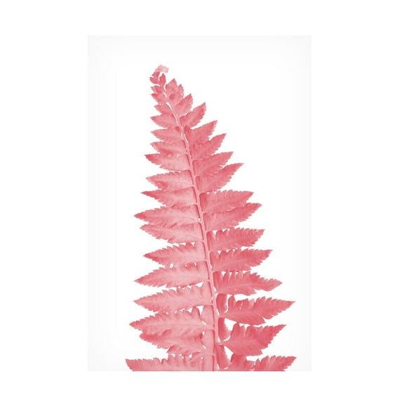Trademark Fine Art Rosana Laiz Blursbyai Pink fern leaf Canvas Wall Art