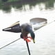 thumbnail image 1 of Señuelo de con Ala para Exteriores, Señuelo de Duradero Premium Impulsado Viento, Cebos, Señuelos de Movimiento Cola viento pato señuelos al aire libre, 1 of 8