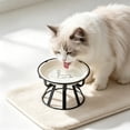 thumbnail image 5 of Ceramic Raised Pet Bowl with Non Slip Stand, Food and Water Bowl for Cats and Small to Medium Dogs, White, 6.26 Inch, 5 of 6