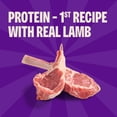 thumbnail image 3 of Wellness Rewarding Life Dog Treats, Natural, Training Treat, Grain Free, Soft Lamb & Salmon (6 Ounce bag), 3 of 7