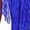 Royal Blue, variant on Women Latin Dance Dress Asymmetrical Skirt Leotard Fringe Tassel Tango Salsa Ballroom Performance Dancewear Burgundy M