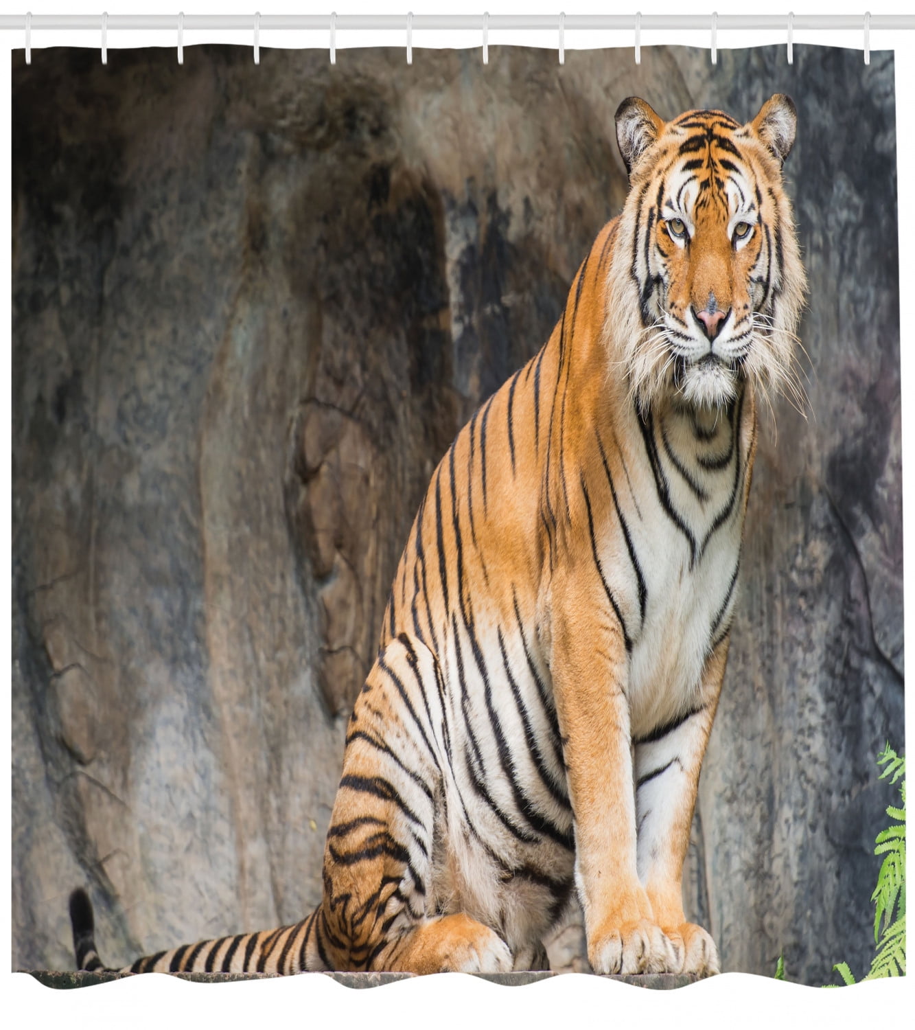 Zoo Shower Curtain Bengal Tiger Feline Predator Aggressive Hunter