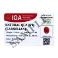 thumbnail image 4 of Certified Real 2.25 Carat Carnelian Oval Shape Cabochon 10x8 mm Loose Gemstone, 4 of 6