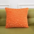 thumbnail image 1 of Plush Pillowcase Cushion Solid Color Chair Cushion Plush Pillow, 1 of 2