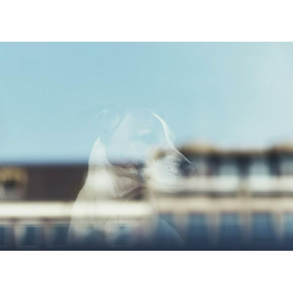 Never Replace a Gift Pet Bereavement/Sympathy Greeting Card