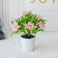 thumbnail image 5 of Ltdhehe Bonsai Desk Arrangement Home Centerpiece Wedding, 5 of 5