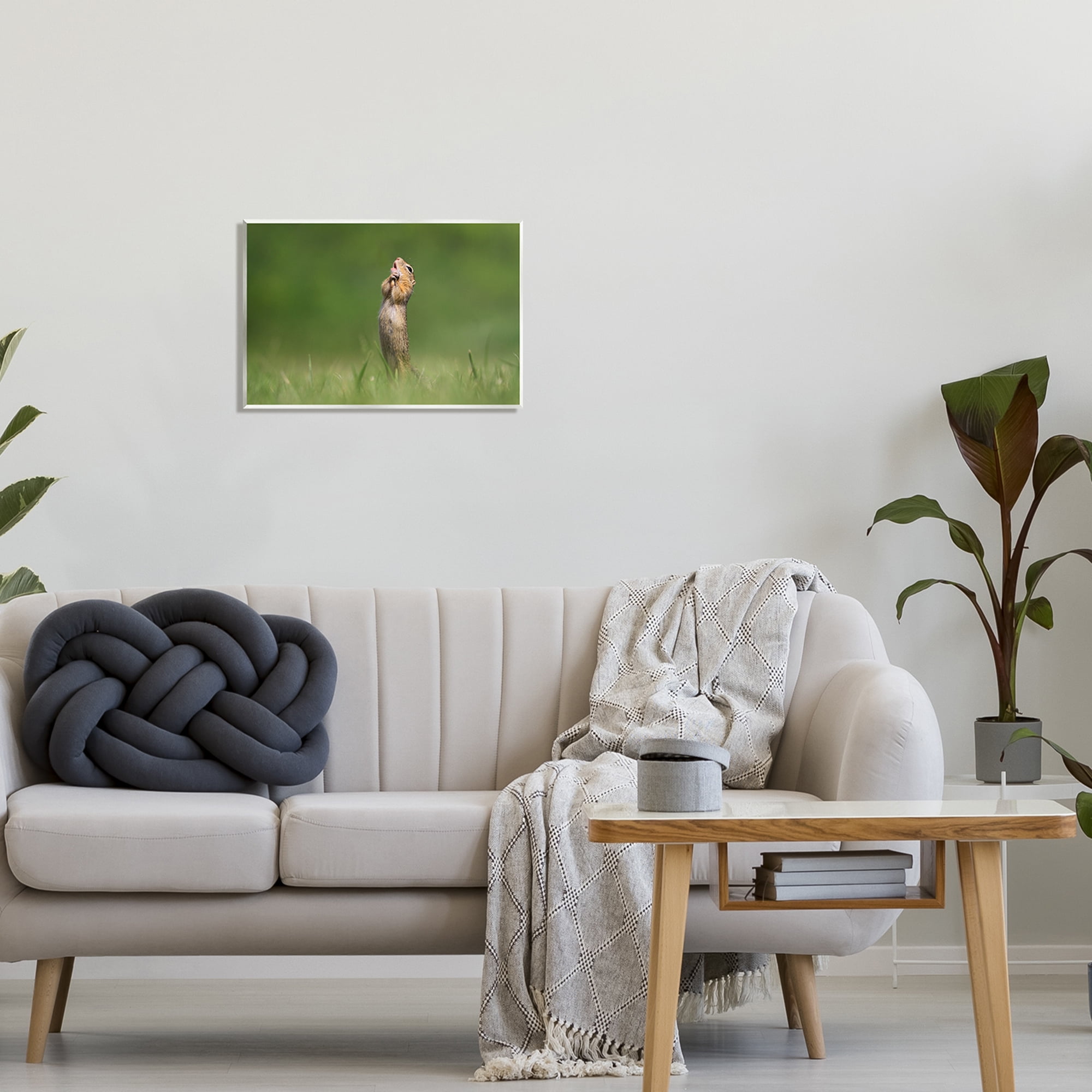 Stupell Industries O Sole Mio Funny Animal Animals & Insects Photography Unframed Art Print Wall Art, 19 x 13